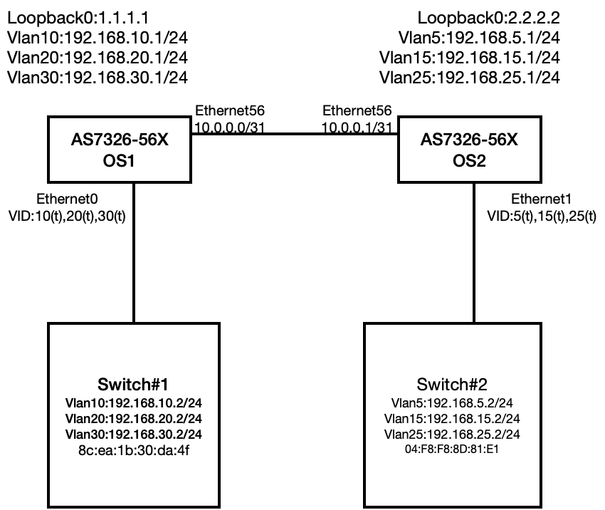 OSPF